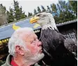  ?? FOTO: KÜPPER ?? Karl Fischer, Besitzer des Greifvogel­parks, mit einem Seeadler.