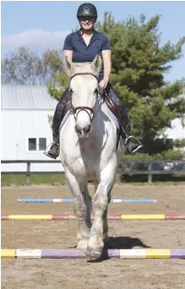  ??  ?? Scatter individual poles around the ring, not placing any particular striding distance between them.