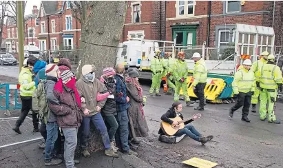  ??  ?? Determined protesters have frustrated attempts by a council contractor to chop down thousands of trees