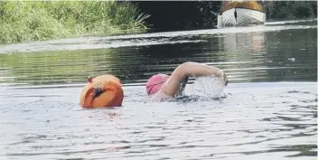  ??  ?? Lisa swimming the river