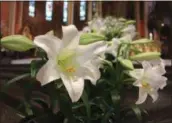  ?? LAUREN HALLIGAN - MEDIANEWS GROUP ?? White lilies decorate the Cathedral of the Immaculate Conception in Albany for Easter.