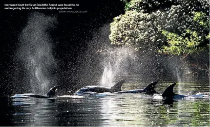  ?? BARRY HARCOURT/STUFF ?? Increased boat traffic at Doubtful Sound was found to be endangerin­g its rare bottlenose dolphin population.