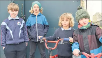  ?? (Pic: John Ahern) ?? THE BOYS ARE BACK: Some of those who returned to Scoil Mhairtín National School in Kilworth this week, l-r: James Kearney, Kai O’Meara, Art O’Meara and Samuel Kuna.