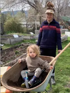  ?? ?? Special to The Herald
Mommas for Mommas is working away at the Research House Demonstrat­ion Garden in Penticton. Amanda Gau is pictured here working with her son Arthur.