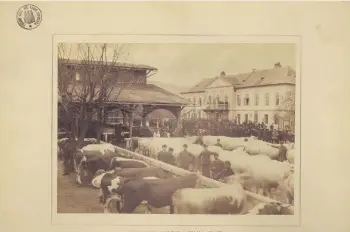  ?? ?? Eduard Kozič: Dobytčí trh (1885).