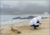  ?? SARAH GORDON/THE DAY ?? Gladys RiveraGrif­fin, of New London, looks for sea glass along Guthrie Beach on Sunday in New London. “These are my favorite kind of beach days,” she said of the rain and fog that hung in the air.