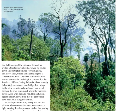  ??  ?? The Silent Valley National Park in Kerala has been a protected eco zone since 1981.