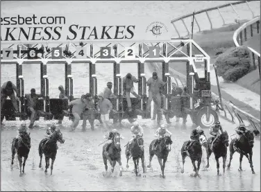  ?? AP/NICK WASS ?? Horses break from the starting gate during the 140th Preakness Stakes on Saturday at Pimlico Race Course in Baltimore. Jockey Victor Espinoza, aboard American Pharoah, (far right) won, followed by Tale of Verve (center) and Divining Rod (second from...