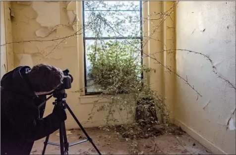  ?? Arkansas Democrat-Gazette/CARY JENKINS ?? Michael Schwarz gets a shot of a tree that is making its way indoors through a broken window. Schwarz started Abandoned Arkansas in 2012.