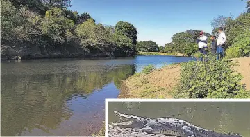  ??  ?? Avistamien­tos. Los pobladores indicaron que normalment­e los animales salen del río al mediodía.