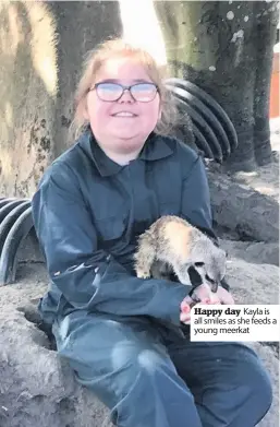  ??  ?? Happy day Kayla is all smiles as she feeds a young meerkat