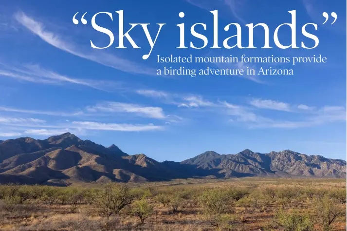  ?? Photos by John Burcham, © The New York Times Co. ?? A view of the Santa Rita Mountains and Madera Canyon in southern Arizona in June. Separated by seas of desert, the mountainou­s enclaves attract birds from miles around.