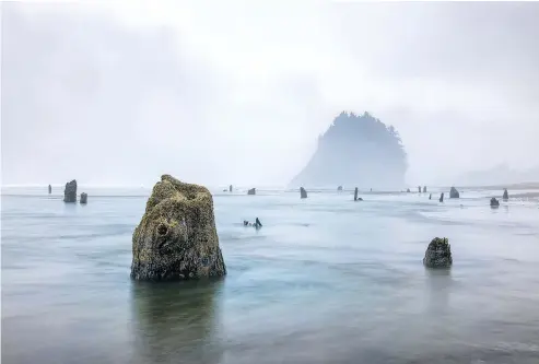  ?? GETTY IMAGES ?? The Neskowin Ghost Forest on the Oregon coast is evidence of significan­t, rapid changes in coastline, likely due to the 1700 Cascadia earthquake.