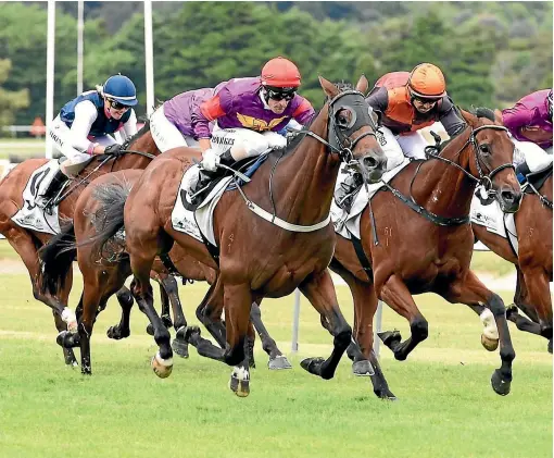  ?? RACE IMAGES ?? Alinko Prince and Johnathan Parkes (red cap) capture the Marton Cup form Jacksstar.