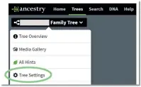  ?? ?? • Select your tree and go to ‘Tree Settings’.