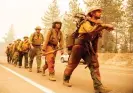  ?? Edelson/AFP/Getty Images ?? A US Forest Service firefighte­r crew arrives to battle the Caldor fire in Meyers, California, in August 2021. Photograph: Josh