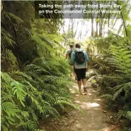  ??  ?? Taking the path away from Stony Bay on the Coromandel Coastal Walkway