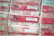  ?? [AP FILE PHOTO] ?? Boxes of frozen of flu virus strains are seen Dec. 19 at the Vaccine Research Center at the National Institutes of Health in Bethesda, Maryland. 2018 is the 100th anniversar­y of the Spanish Flu pandemic.