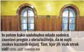  ?? FOTO: JOŽE SUHADOLNIK ?? In potem kaka nadobudna mlada sodnica zaustavi pregon z obrazložit­vijo, da ni najti znakov kaznivih dejanj. Tam, kjer jih vsak otrok vidi!