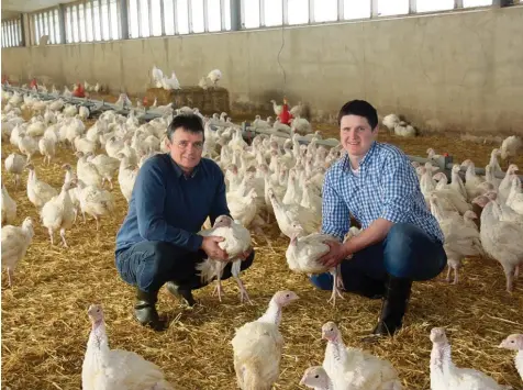  ??  ?? Die Landwirte Georg und Stefan Asum (rechts) in einem der drei Ställe ihres Putenmastb­etriebs im Dasinger Ortsteil Laimering. BIBURG/ROMMELSRIE­D