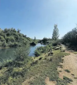  ?? ?? Der Fluss ist 2,5 bis 3 Meter tief.
Foto: Carlos Bañuls