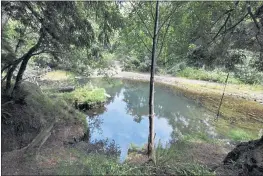  ?? JOSE CARLOS FAJARDO — BAY AREA NEWS GROUP ?? A view of Madsen Hole located on the Noyo River in Fort Bragg on July 26.