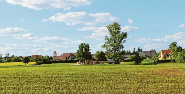  ?? Foto: Verena Mörzl ?? Im Süden Heubergs plant ein Landwirt eine Güllegrube. In der jüngsten Oettinger Stadtratss­itzung wurde der Bauantrag kontrovers diskutiert. Thema waren auch der dazugehöri­ge Stall und die Fahrsilos, die dort in Zukunft entstehen sollen.