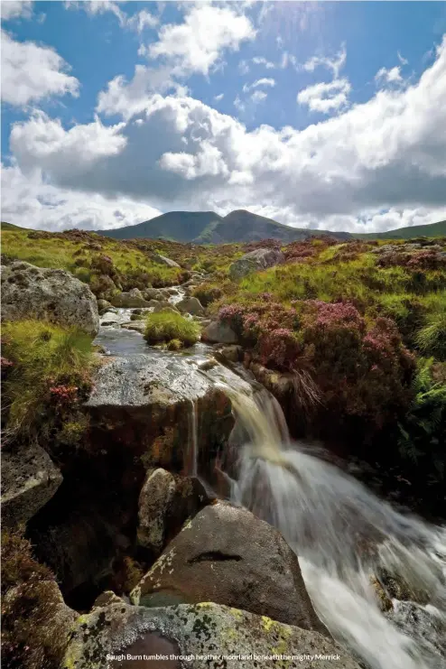  ?? ?? Saugh Burn tumbles through heather moorland beneath the mighty Merrick