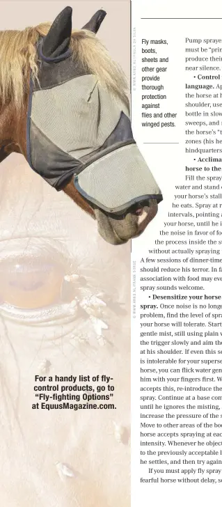  ??  ?? Fly masks, boots, sheets and other gear provide thorough protection against flies and other winged pests. For a handy list of flycontrol products, go to “Fly-fighting Options” at EquusMagaz­ine.com.