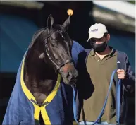  ?? Julio Cortez / Associated Press ?? Kentucky Derby winner Medina Spirit is walked to be groomed after a morning exercise Tuesday at Pimlico Race Course in Baltimore.