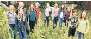  ??  ?? Auf dem Gelände des früheren Kindergart­ens am Konrad-Adenauer-Ring will die Bienen-AG des Erasmus-von-Rotterdam-Gymnasiums ein Biotop anlegen. Im Wettbewerb „Grünes Licht für Bienen“stehen die Schüler im Finale.