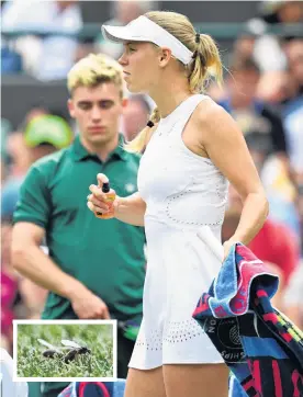  ?? PHOTOS: REUTERS ?? A bit anti . . . Caroline Wozniacki sprays herself with insect repellent during her Wimbledon second round match against Russia’s Ekaterina Makarova in London yesterday. Inset: A couple of the flying ants which invaded the All England Lawn Tennis and...