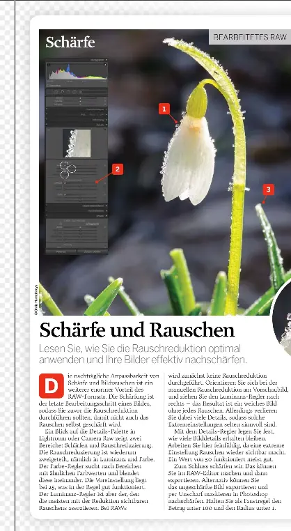 Pressreader Raw Mit Photoshop 17 01 01 Scharfe Und Rauschen