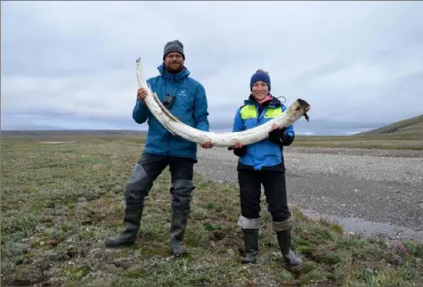  ?? Gleb Danilov via The New York Times ?? Love Dalen, left, a paleogenet­icist at the Centre for Palaeogene­tics in Stockholm, and Patricia Penerova, an evolutiona­ry biologist at the University of Copenhagen, hold up a mammoth tusk on Wrangel Island, near Siberia. Genomic data — the oldest ever recovered from a fossil — reveals the origin and evolution of the Columbian mammoth.