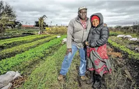  ?? Photos by Mark Mulligan / Staff photograph­er ?? Toto and Fatuma Alimasi’s farm has become the top producer of vegetables for Plant It Forward’s community-supported agricultur­e boxes.