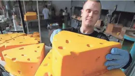  ?? RICK WOOD ?? In this file photo, Sean Platz, an employee at Foamation, the company that makes foam Packers products such as a cheesehead, places a finished product on a rack as part of the production process.