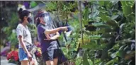  ?? TED ALJIBE / AGENCE FRANCE-PRESSE ?? Residents show great interest in plants for sale at a nursery in Manila on Oct 29.