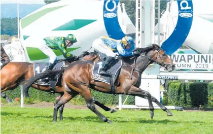  ?? Photo / Race Images ?? The Chosen One beats stablemate Spring Delight in the Manawatu Classic at Awapuni last month.