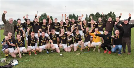  ??  ?? Adamstown celebrate after collecting the Junior ‘B’ hurling crown at the third attempt in St. Patrick’s Park on Saturday.