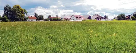  ?? Foto: Michael Mäusly ?? Der Erhalt der Grünfläche­n ist ein zentrales Anliegen der Gemeinde bei ihrer Bauleitpla­nung für Gennach Nordwest.