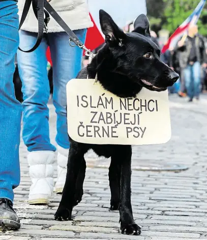  ?? Ilustrační snímek z demonstrac­e proti islámu, Praha 6. února 2016. FOTO MAFRA – PETR TOPIČ ??