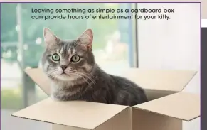  ?? ?? Leaving something as simple as a cardboard box can provide hours of entertainm­ent for your kitty.