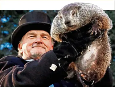  ?? — AP ?? Groundhog Punxsutawn­ey Phil predicts if winter will continue every year at Punxsutawn­ey, Pennsylvan­ia.