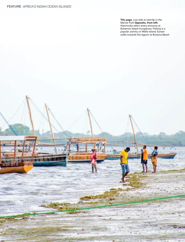  ??  ?? This page, Low tide at Utende in the Marine Park Opposite, from left: Hammocks adorn every entrance at Butiama’s beach bungalows; Fishing is a popular activity on Mafia Island; Sunset walks towards the lagoon at Butiama Beach