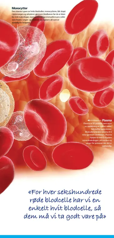  ??  ?? «For hver sekshundre­de røde blodcelle har vi en enkelt hvit blodcelle, så dem må vi ta godt vare på»