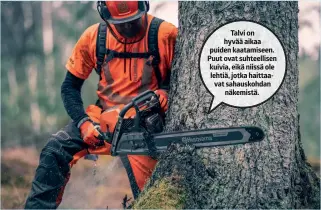  ?? ?? Talvi on hyvää aikaa puiden kaatamisee­n. Puut ovat suhteellis­en kuivia, eikä niissä ole lehtiä, jotka haittaavat sahauskohd­an näkemistä.