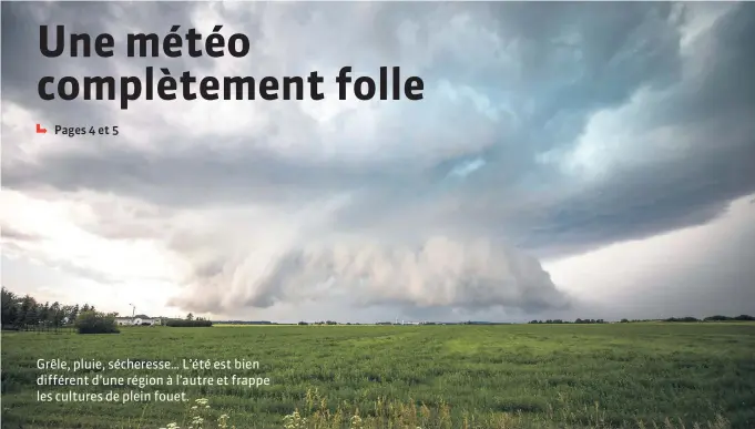  ??  ?? Grêle, pluie, sécheresse… L’été est bien différent d’une région à l’autre et frappe les cultures de plein fouet.