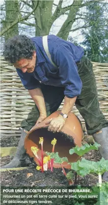  ??  ?? POUR UNE RÉCOLTE PRÉCOCE DE RHUBARBE, retournez un pot en terre cuite sur le pied. Vous aurez de délicieuse­s tiges tendres.