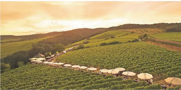  ?? FOTO: WOODY T. HERNER ?? Rheingau Musik Festival: An der 800 Meter langen Steinberge­r Tafelrunde vergnügen sich 1350 Besucher bei Riesling, Spundekäs’ und Blasmusik.