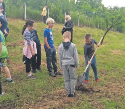  ??  ?? Djeca su s učiteljica­ma i školskim čuvarom posadila 38 sadnica voćaka